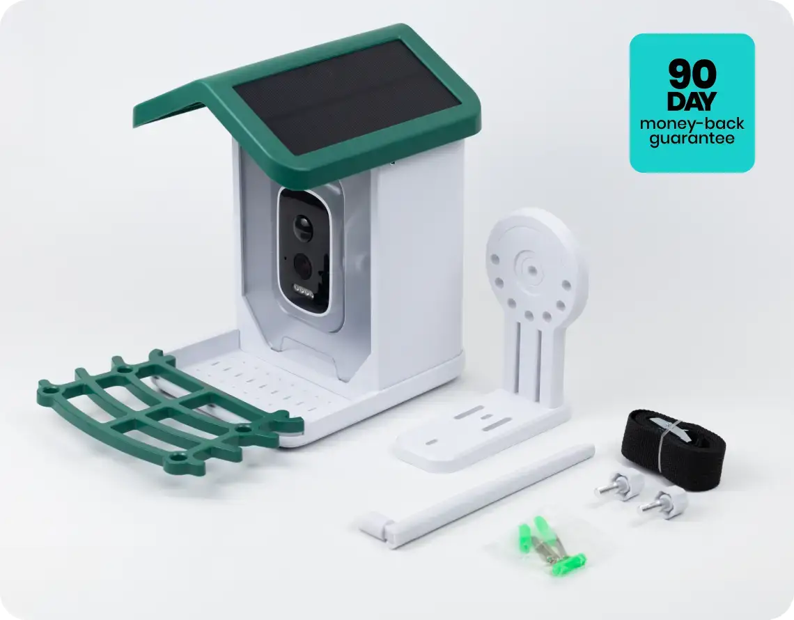 Happy Birdy Smart Bird Feeder Review: The Gift That Turns Your Backyard Into a Nature SanctuaryBy Editorial TeamJune 1, 2026